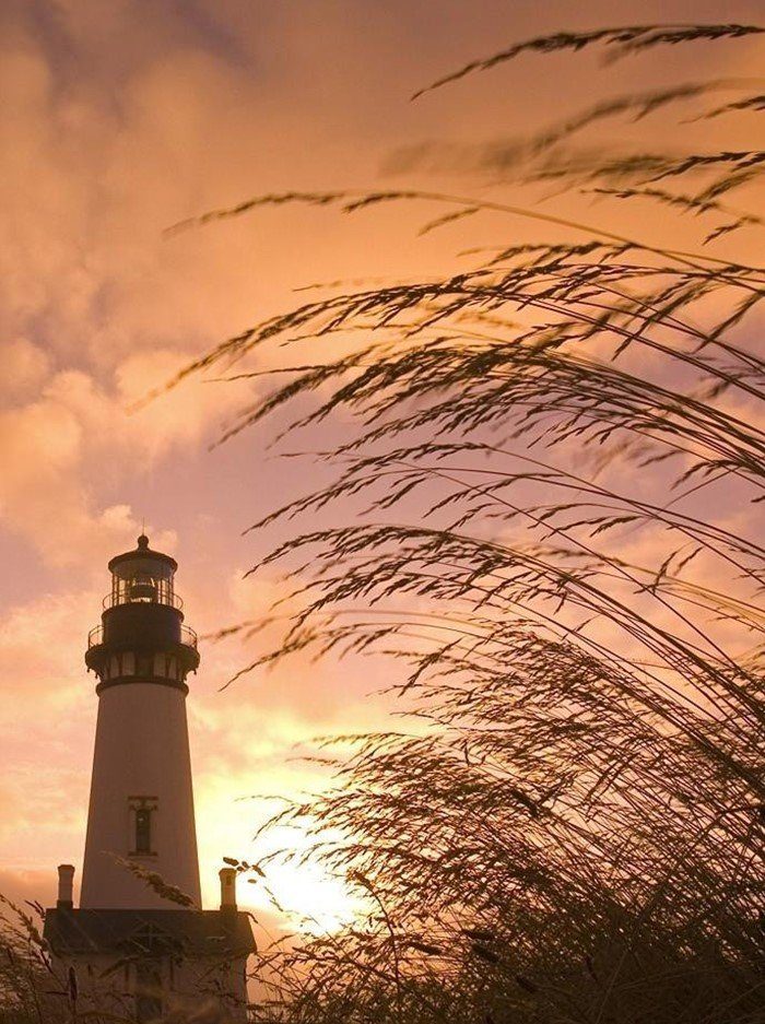 星祭りの夜に~暁の星になるまで
